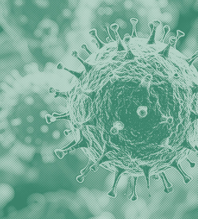 Elite Treats Recalls Chicken Chips for Dogs Due to Salmonella Contamination