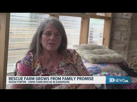 Rescue farm in Jefferson County grows from family promise – YouTube