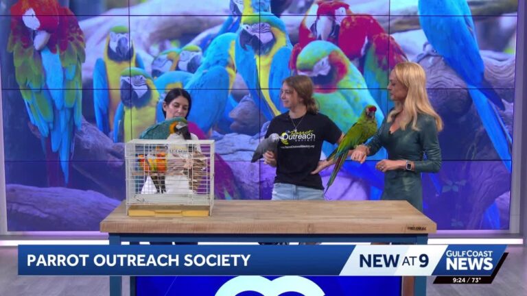 Parrot Outreach Society brings macaws, conures and an African grey to the studio