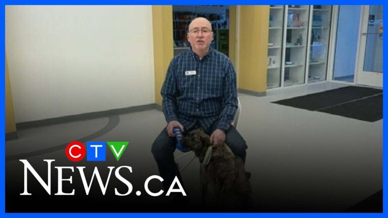 Meet the Regina Humane Society’s latest Pet of the Week – YouTube