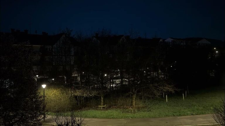 Zozoa eta Udaberria – YouTube