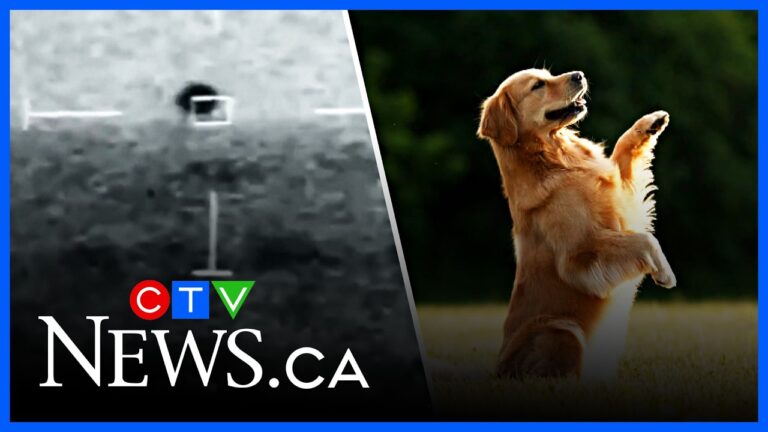 Final Five: UFOs in Canada and Canadian Kennel Club’s top dog – YouTube