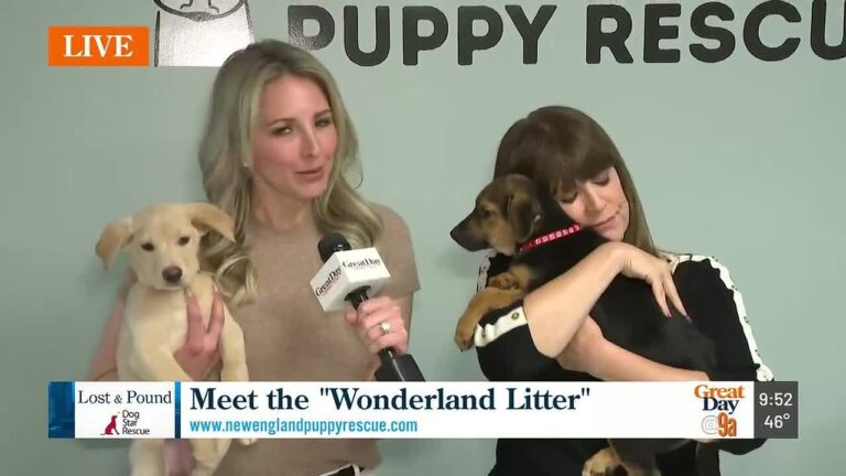 Lost & Pound – YouTube