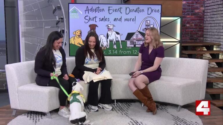 Stray Rescue – YouTube