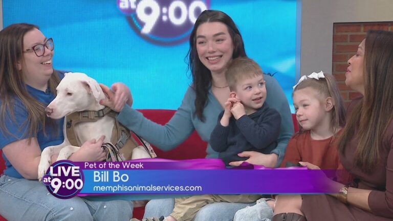 Bill Bo the rescue pup featured as Best Pet of the Week – YouTube