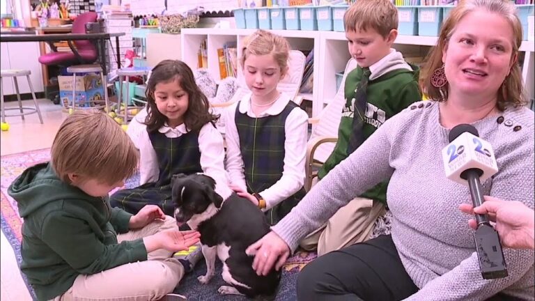 “I think it’s rare you find a dog you completely trust” – YouTube