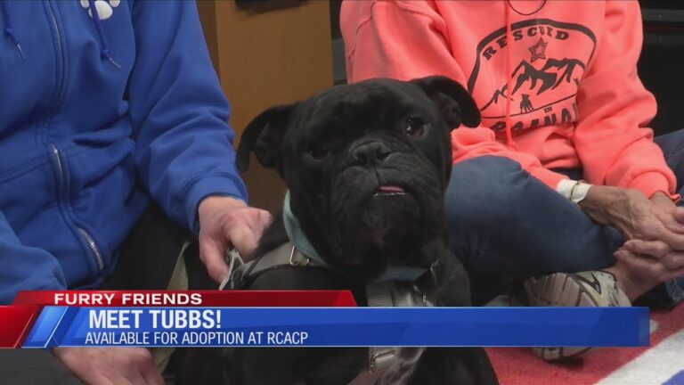 Furry Friends: Meet Tubbs! – YouTube