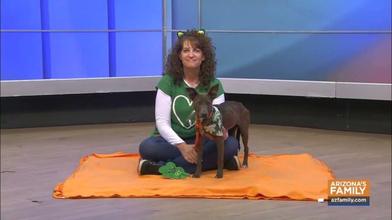 Pets on Parade (Full Episode) March 14, 2026 – YouTube