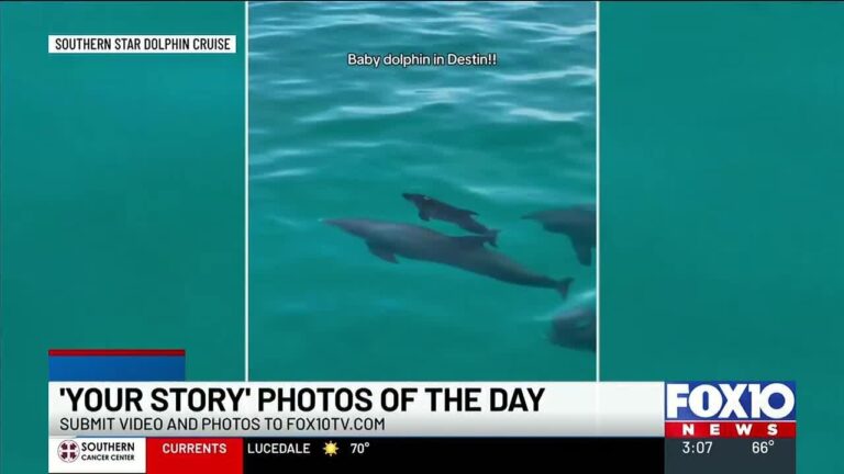 Ashlyn and Jason take a look at ‘Your Story’ photos of the day – YouTube