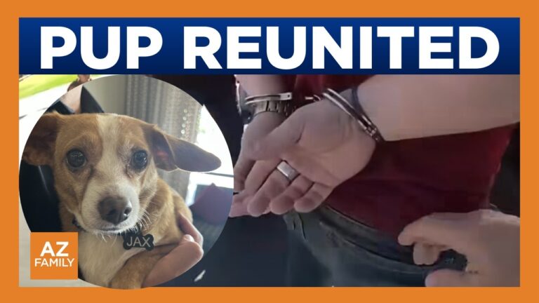 Stolen Chihuahua reunited with Scottsdale owner 1 year later – YouTube