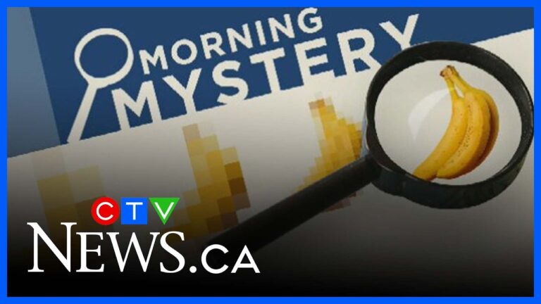 What animal has a specialized wrist bone? | Morning Mystery – YouTube