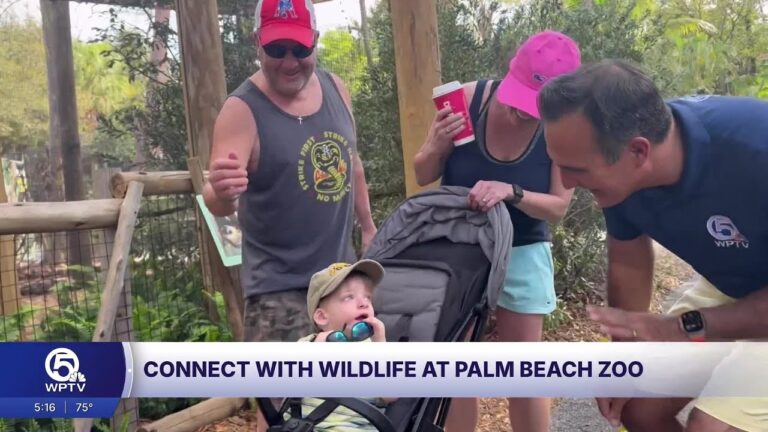 Spring into fun with the lemurs at the Palm Beach Zoo – YouTube