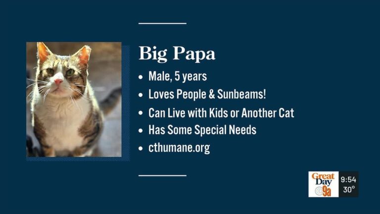 Lost & Pound – YouTube