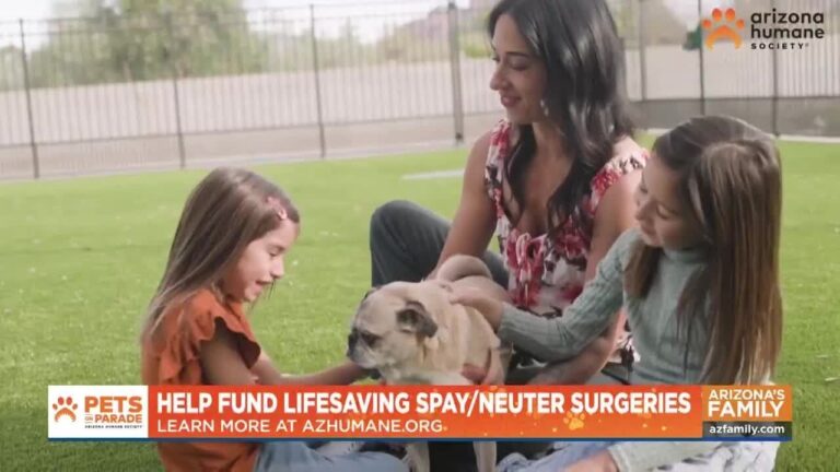 Pets on Parade (Full Episode) February 28, 2026 – YouTube