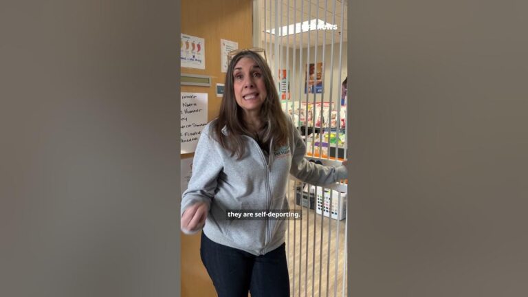 As the ICE surge continues in Minnesota, pets suffer – YouTube