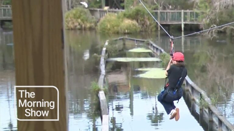 Orlando wildlife adventures: We check out Florida’s true “wild” side – YouTube