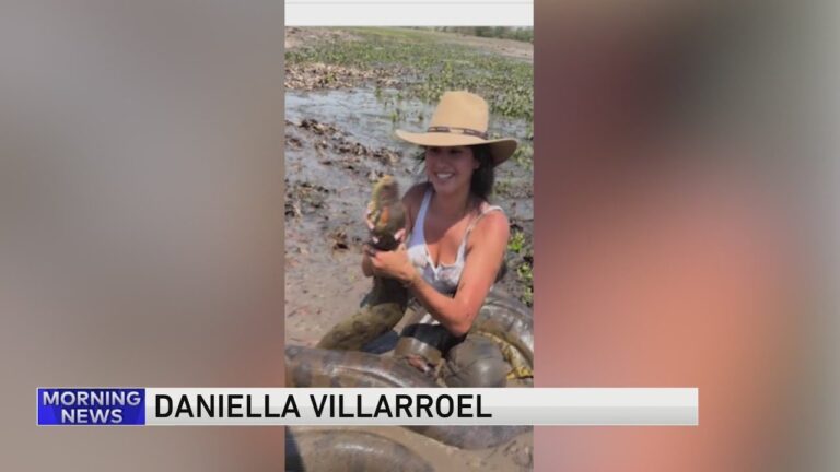 Crazy Wildlife Videos! – YouTube