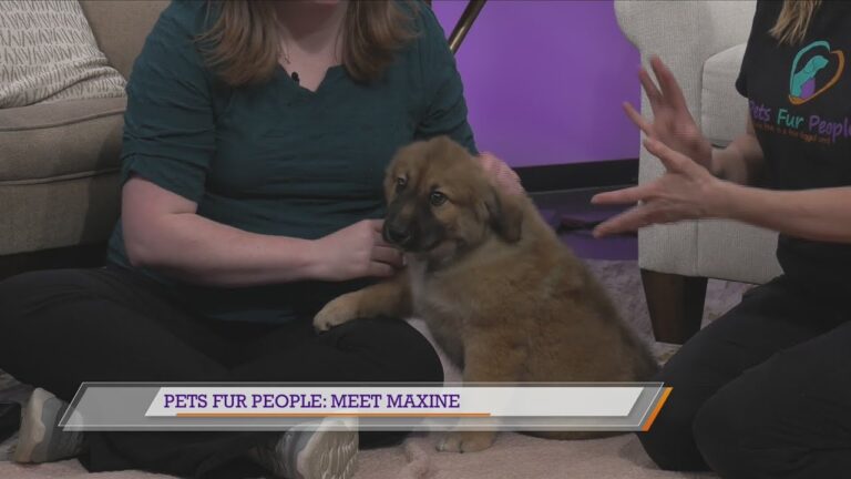 Pets Fur People: Meet Maxine – YouTube