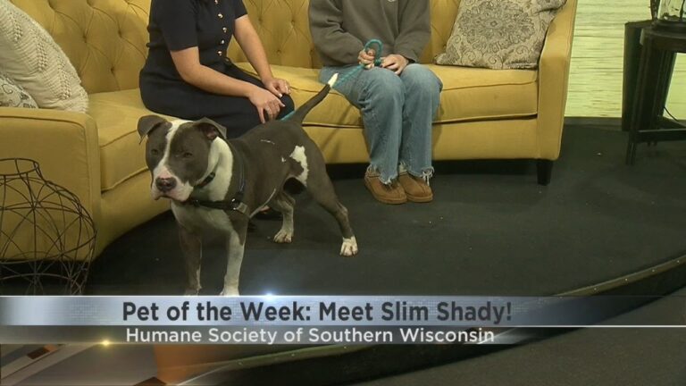 Pet of the Week: Meet Slim Shady! – YouTube