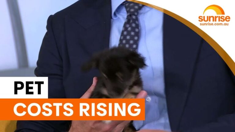 Rising pet costs and how to save money | Sunrise – YouTube