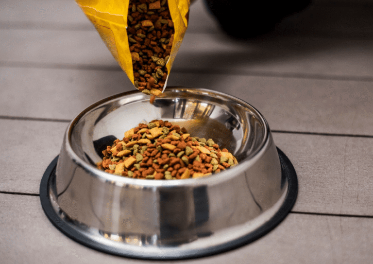 Raaw Energy Pet Food Recall Raises Serious Health Concerns for Pets and Owners