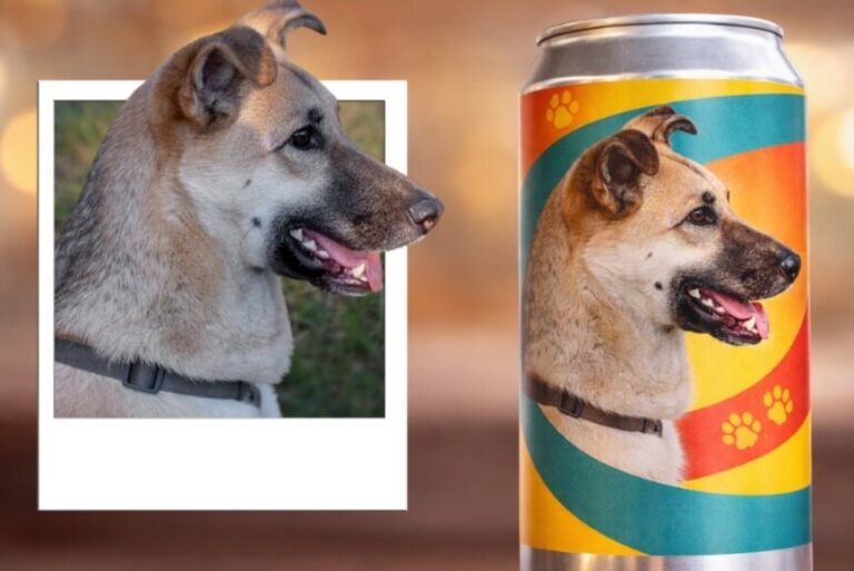 Two Kelowna craft breweries taking part in Animals & Ales fundraiser – Castanet.net