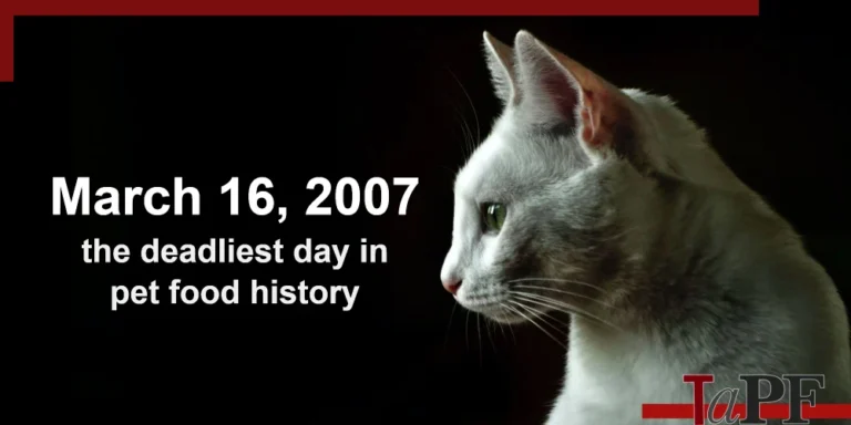 Take A Moment to Remember The Pets – Truth about Pet Food