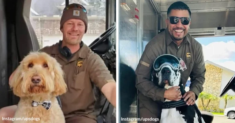 UPS Drivers Share Adorable Photos Of Dogs Who Wait For Their Deliveries