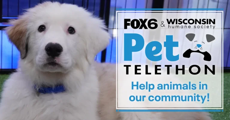 FOX6, Wisconsin Humane Society pet telethon set for Friday, March 20