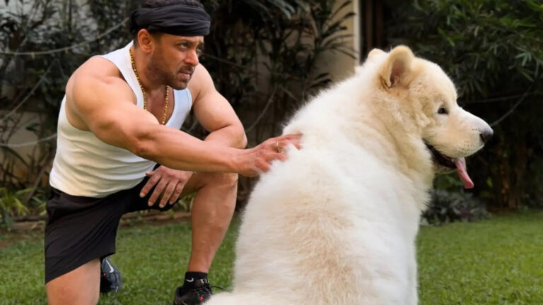 Salman Khan To Alia Bhatt, 7 Celebrities Who Are Pet Parents | Times Now