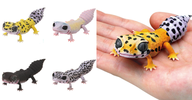 GASHAPON “Ikimono Daizukan Repti Leopard Gecko” Capsule Toy