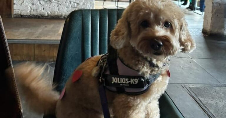 Knutsford pet owners share cute snaps for National Pet Day