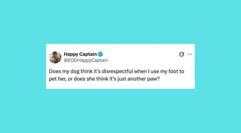23 Of The Funniest Posts About Cats And Dogs This Week (April 4-10) – AOL.com