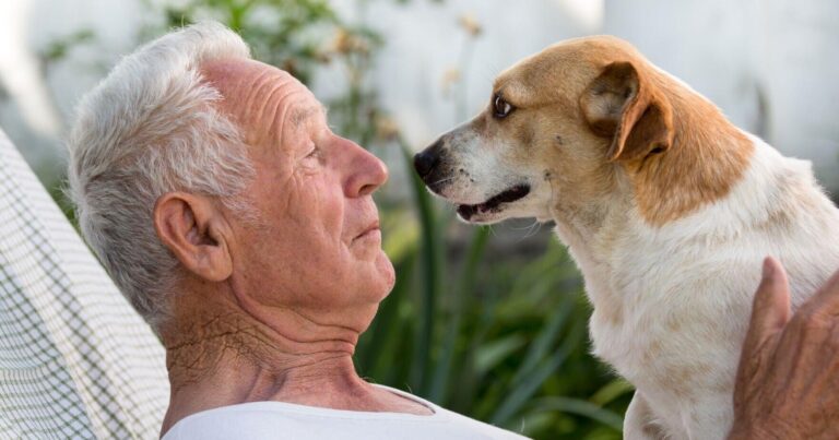 The power of pets | Health | westnewsmagazine.com