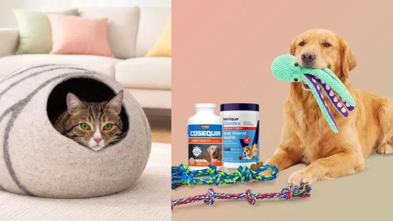 National Pet Day 2026: The 15 best deals we could find – KETK.com