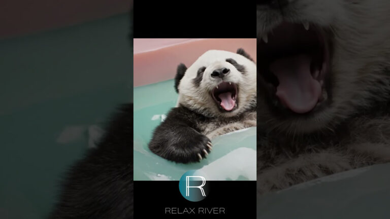 Cute animal ASMR AI: Penguin & panda on soft squishy beds #Veo3 #satisfying | Watch