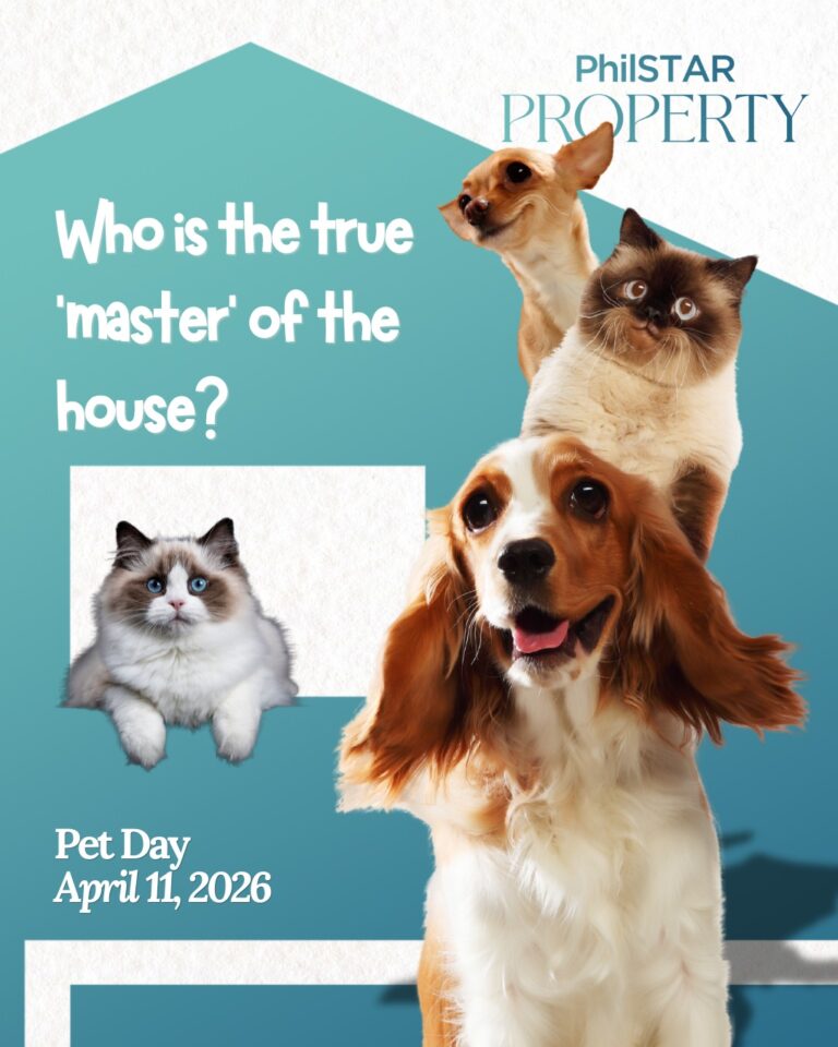 Happy Pet Day! They don’t pay rent… But they own every inch of your home anyway. We …