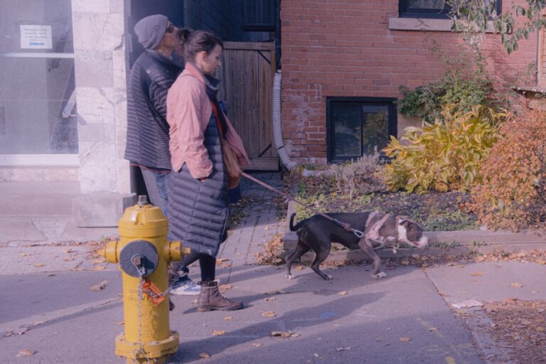 How Firefighters Are Trained to Handle Pets During Fires – A-Z Animals