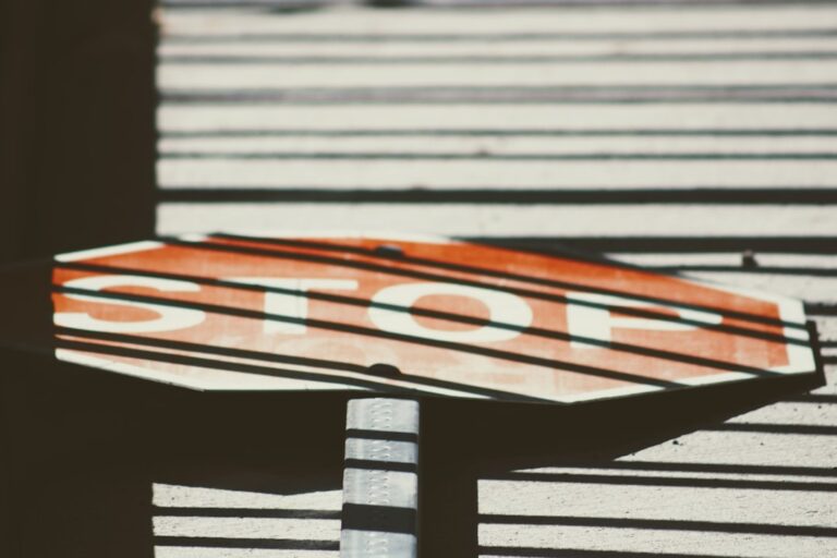 Massive, Rare ‘Stop Sale’ Issued for Popular Cat Food – Parade Pets