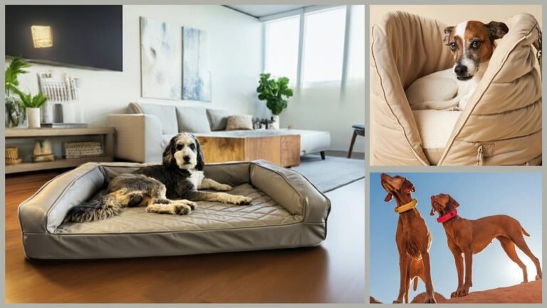 National Pet Day is a reminder to celebrate the animals who bring personality, joy and a little …