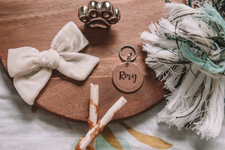 Pet Memorial Keychain With Hair Storage Bottle – Transparent Keepsake Pendant For Fur