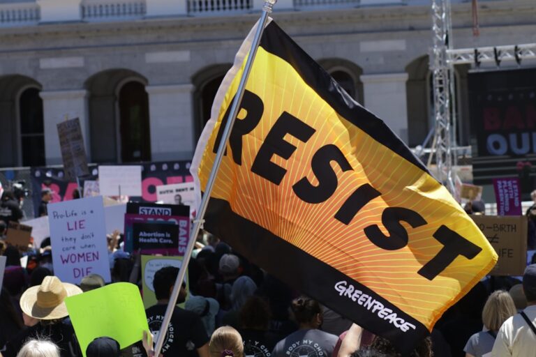 The Growing Movement to Restrict Free-Roaming Cats – A-Z Animals