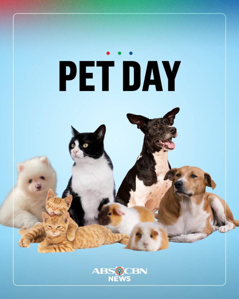 “Too cute to handle, too loved to measure” Happy Pet Day! – Facebook