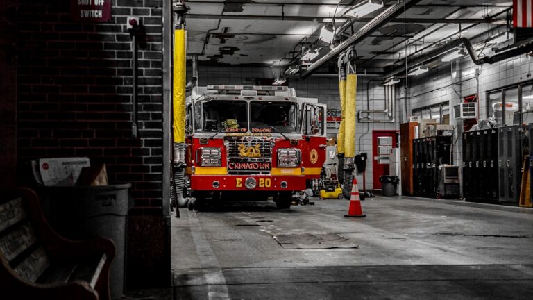 Wait Until You See the Surprise This Firehouse Had for Their Favorite Shelter Dog – Parade Pets