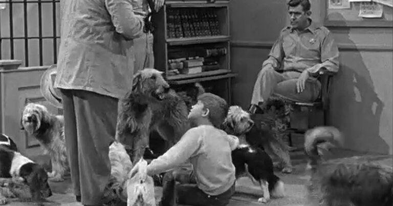 Do you know the dogs of The Andy Griffith Show? – MeTV