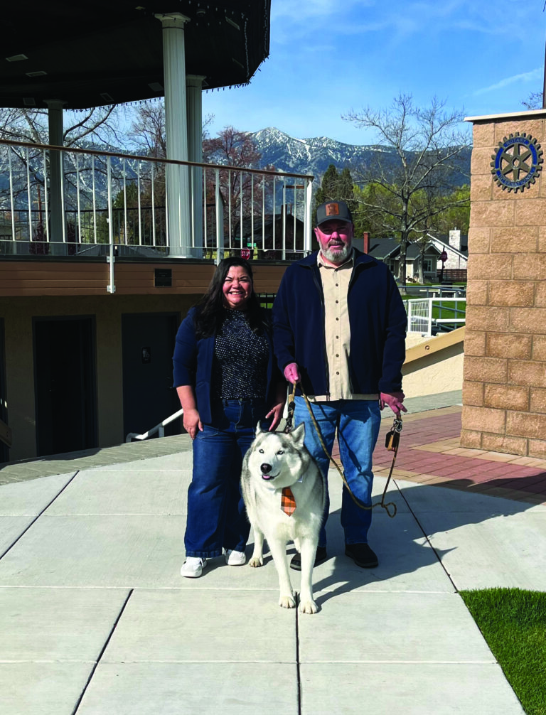 Husky wins Cutest Creatures contest | Serving Minden-Gardnerville and Carson Valley
