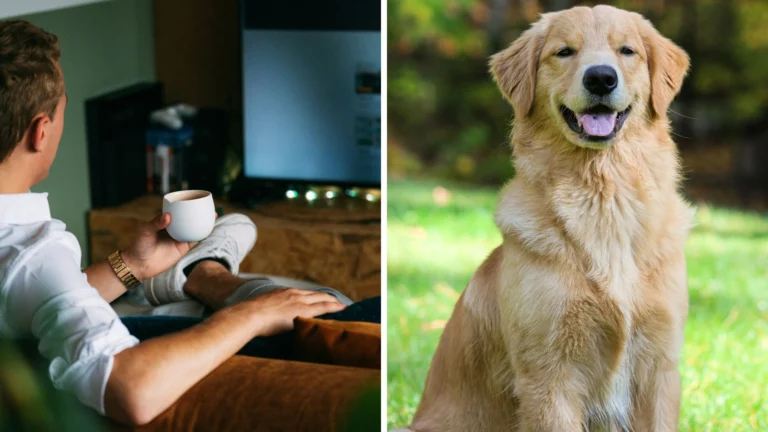 Los Angeles man gets home from work. Then he turns on the TV—and sees his golden … – AllHipHop