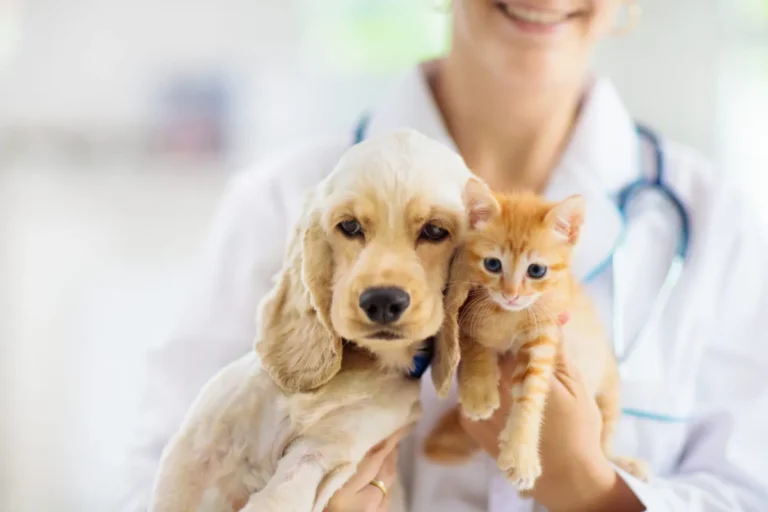 Italy Just Became the First Country to Give Workers Paid Leave to Care for Sick Pets