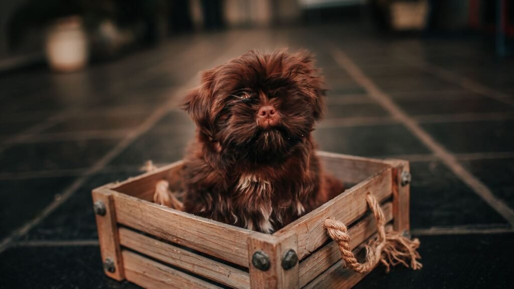 The Ultimate Buying Guide for Puppy Gear Organization — buying guide for puppy gear organization products