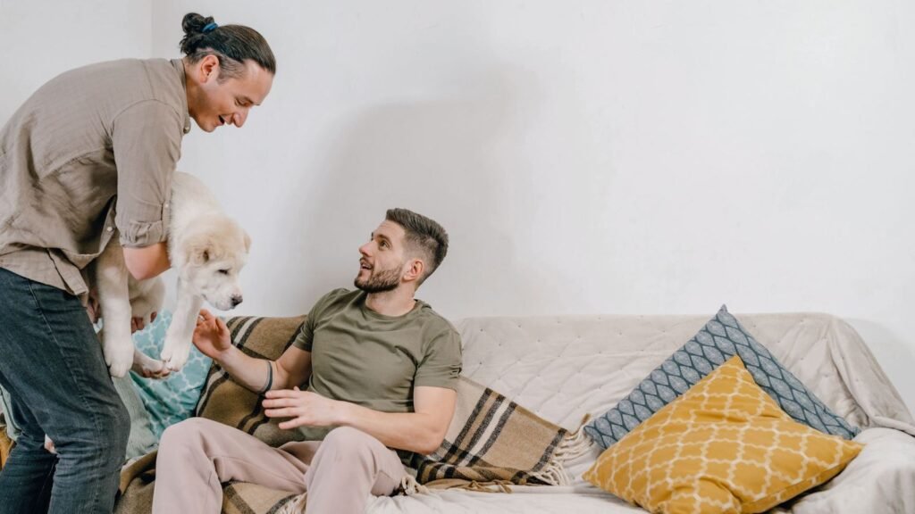 How to Fix Puppy Clutter in Shared Spaces — fixing puppy clutter in shared spaces